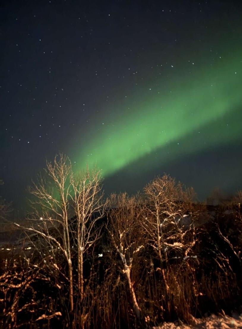 Koselig Leilighet I Narvik Sentrum 5 Soveplasser Gratis Parkering Og Gratis Internett Exteriör bild