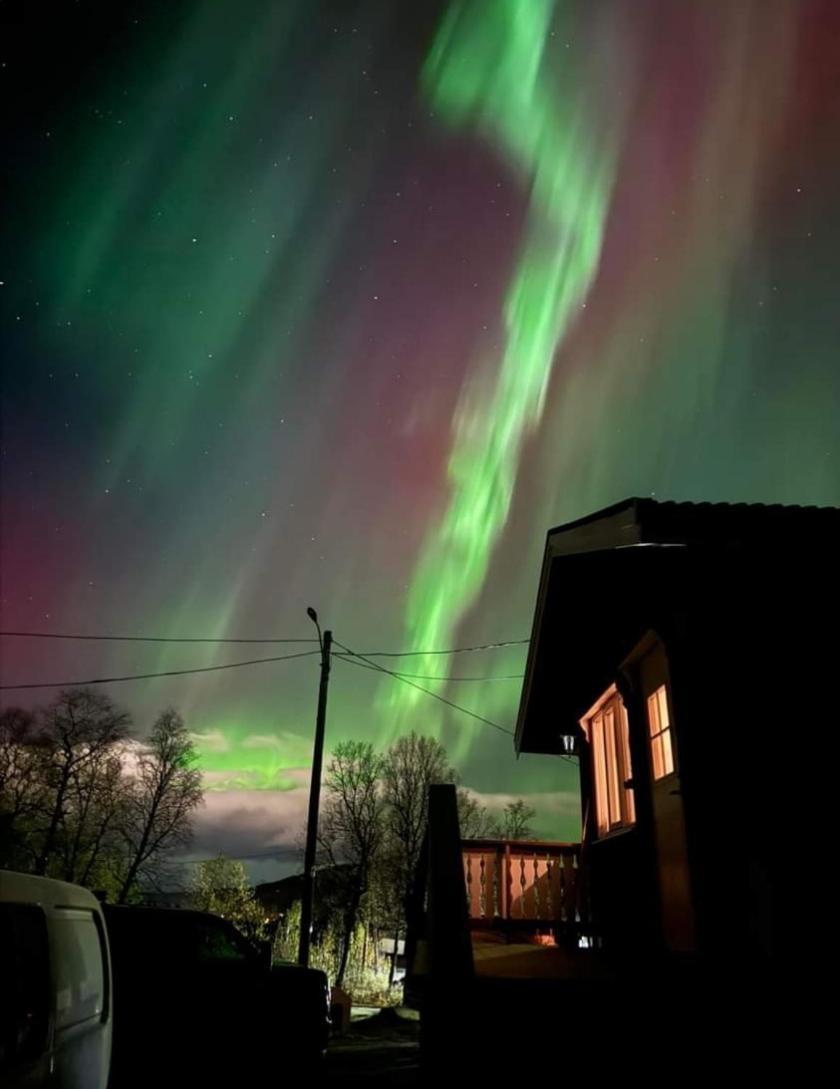 Koselig Leilighet I Narvik Sentrum 5 Soveplasser Gratis Parkering Og Gratis Internett Exteriör bild