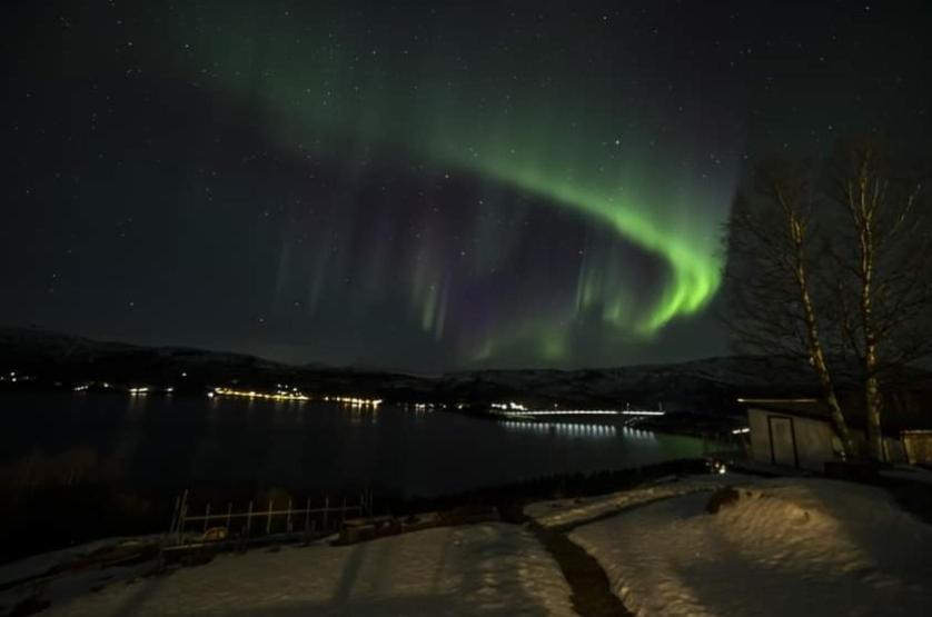 Koselig Leilighet I Narvik Sentrum 5 Soveplasser Gratis Parkering Og Gratis Internett Exteriör bild